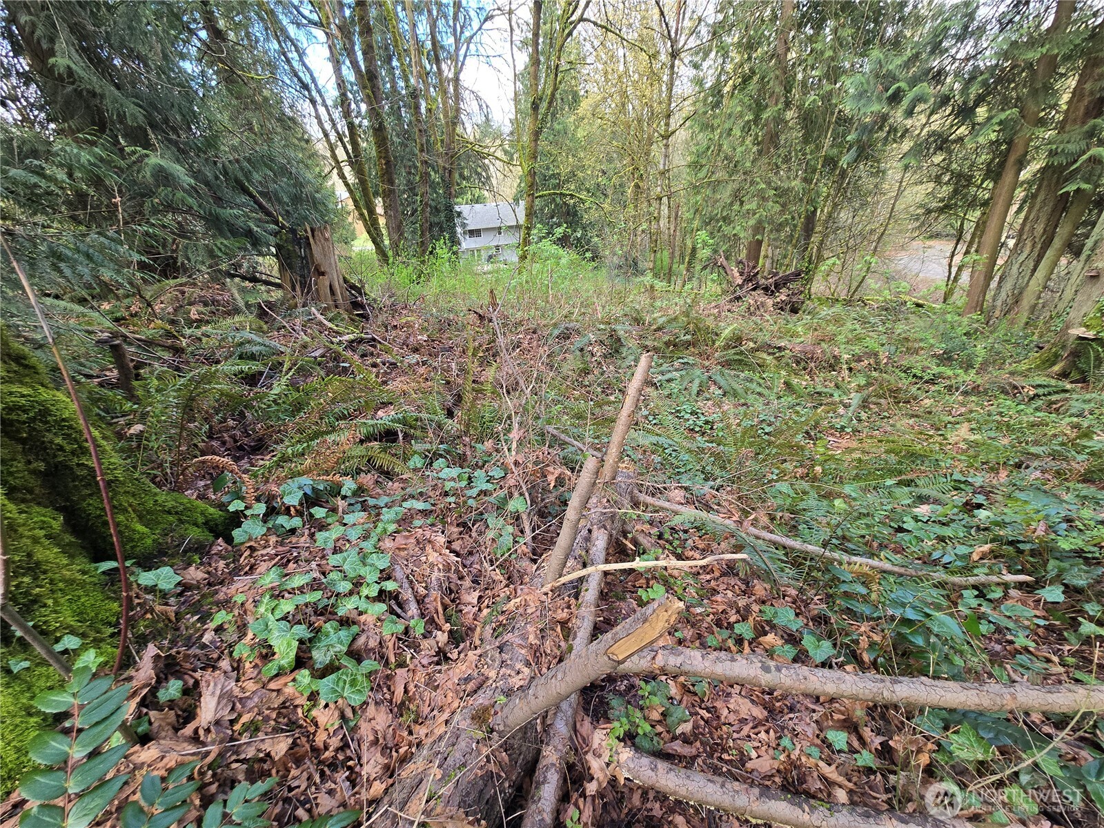 54 Xx S 344th Street Property Photo 15