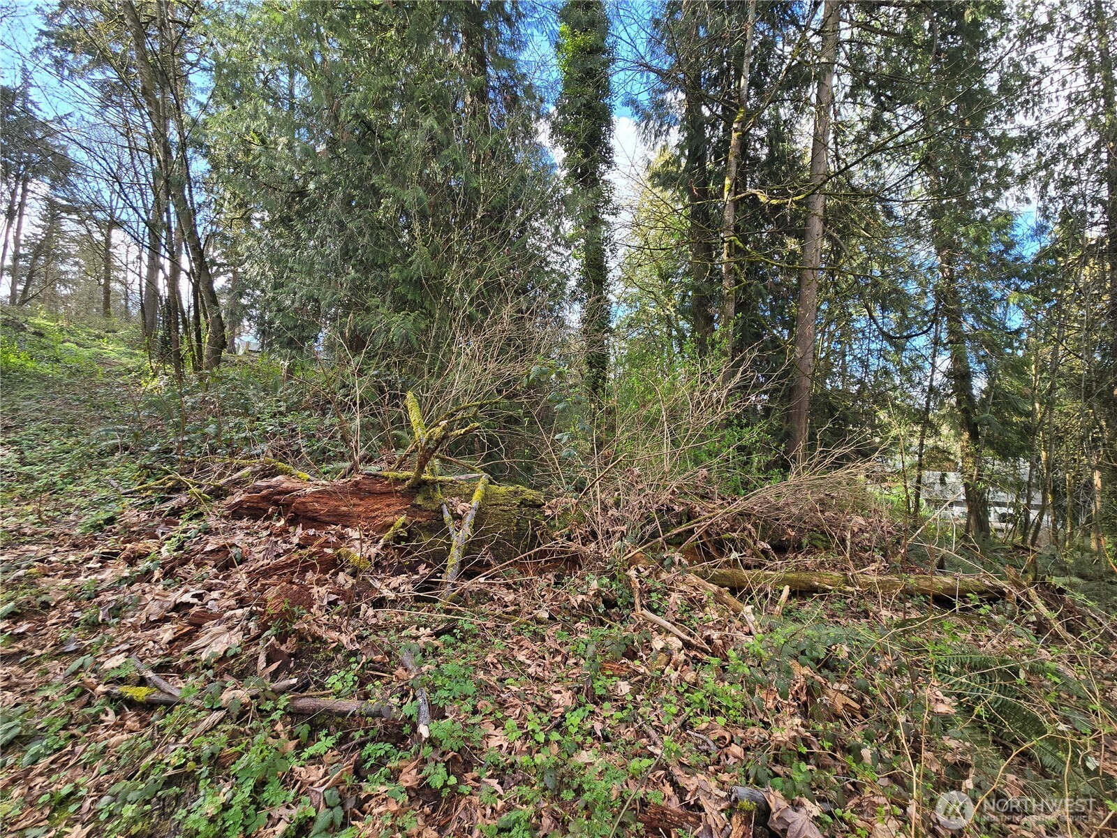 54 Xx S 344th Street Property Photo 19