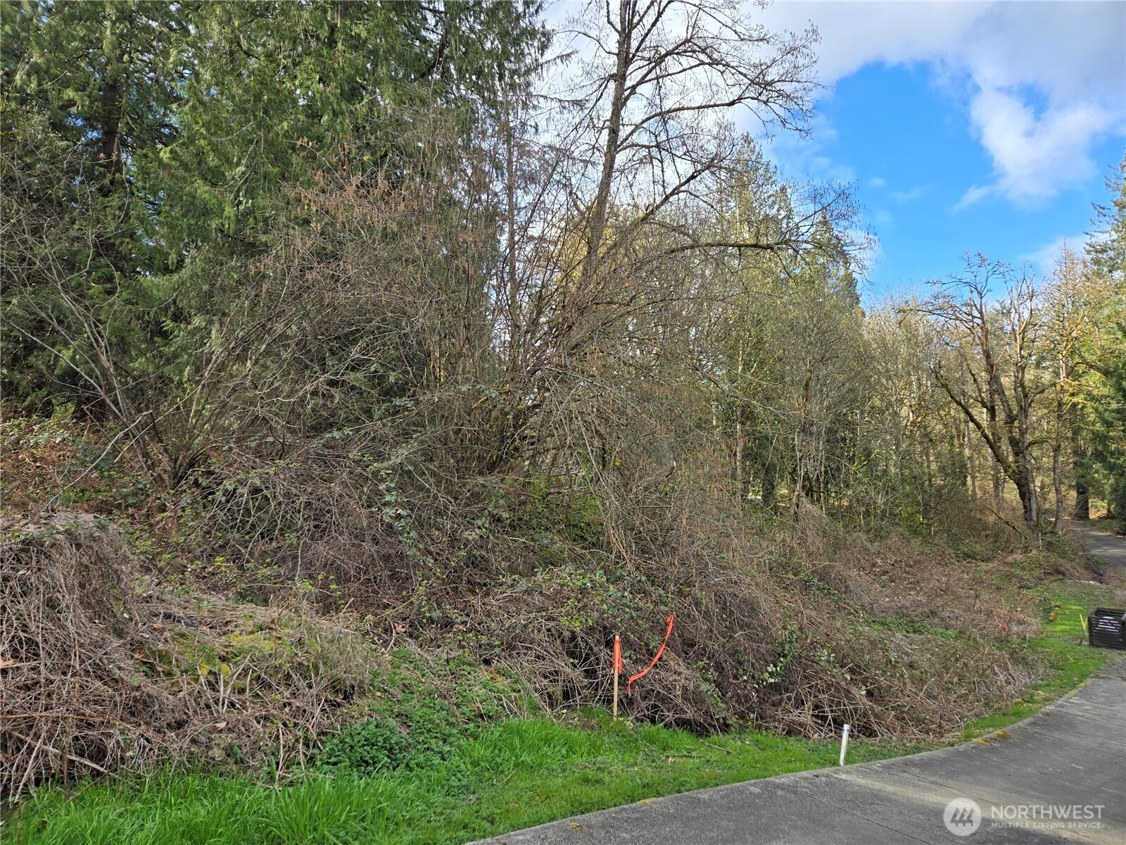 54 Xx S 344th Street Property Photo 28