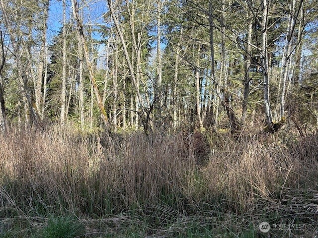 0 Lot 21 Ander Park Road Property Photo 3