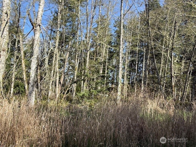 0 Lot 16 Ander Park Road Property Photo 2