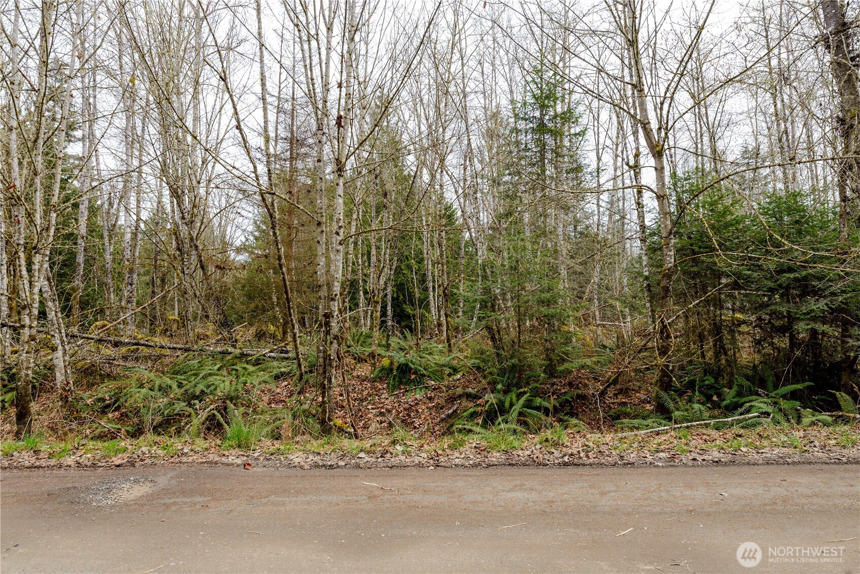 213 Runamuck Lane Property Photo 3