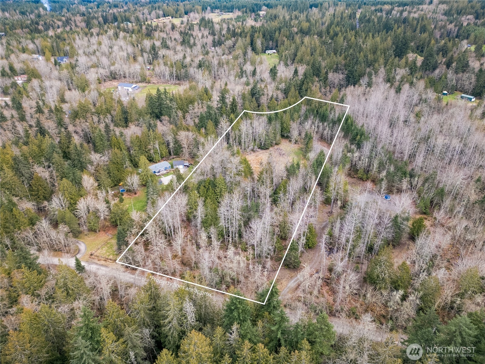 213 Runamuck Lane Property Photo 8