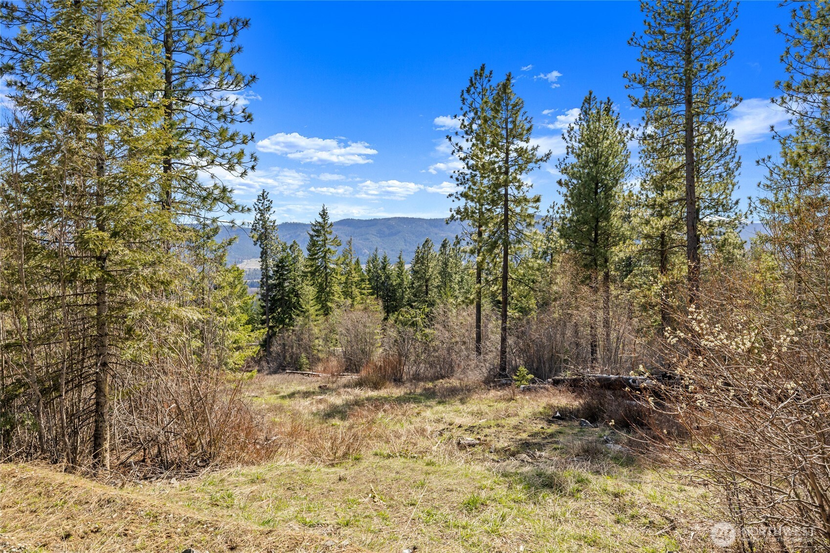 6 Forest Ridge (lot 6) Drive Property Photo 1