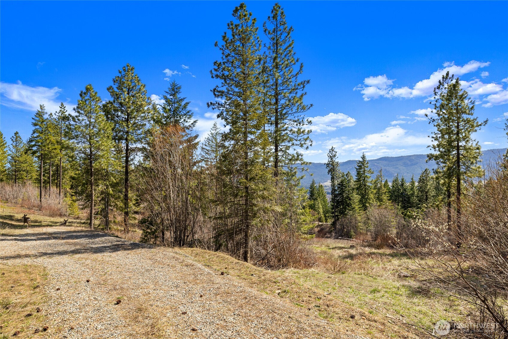 6 Forest Ridge (lot 6) Drive Property Photo 9