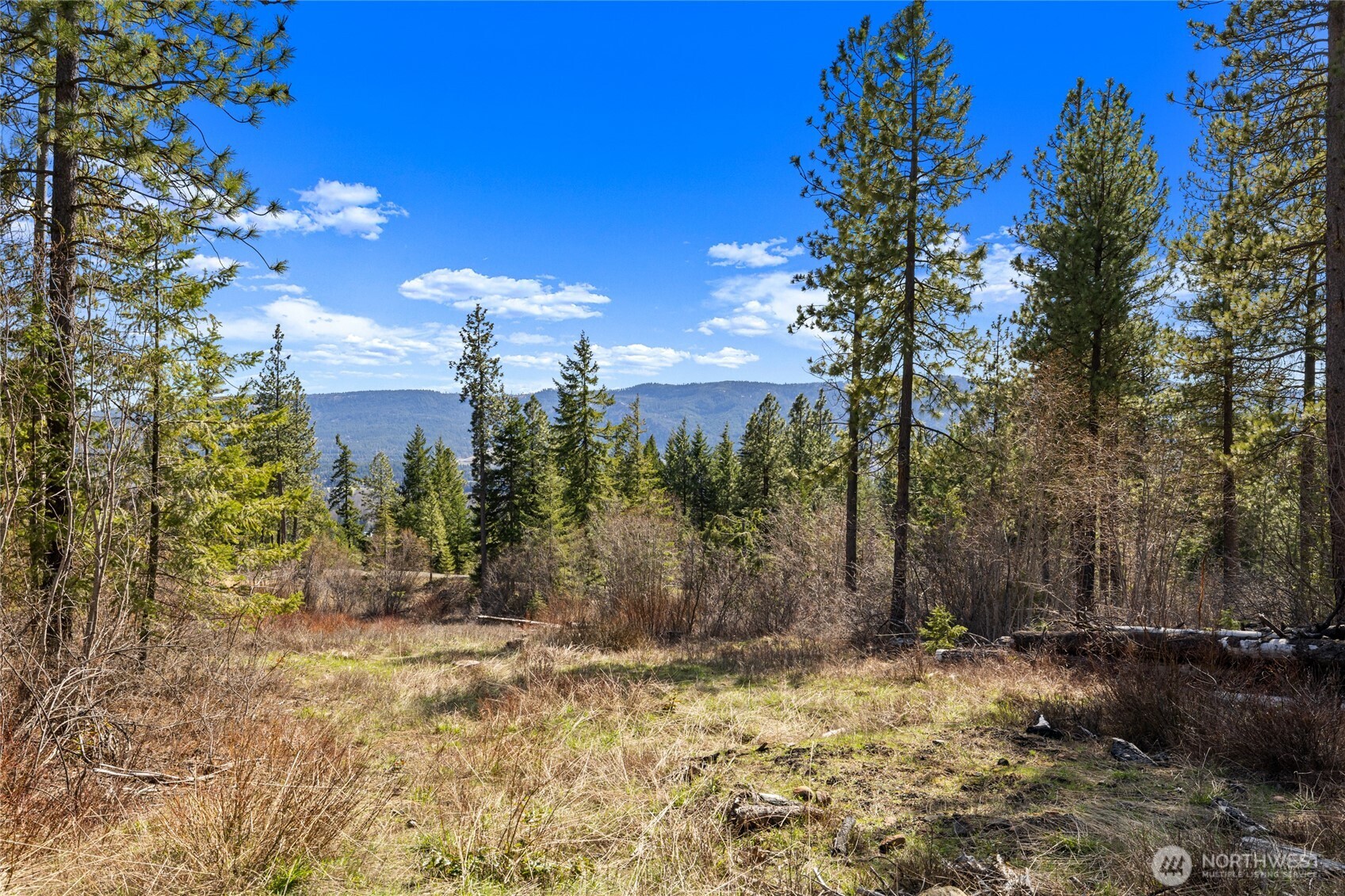 6 Forest Ridge (lot 6) Drive Property Photo 10