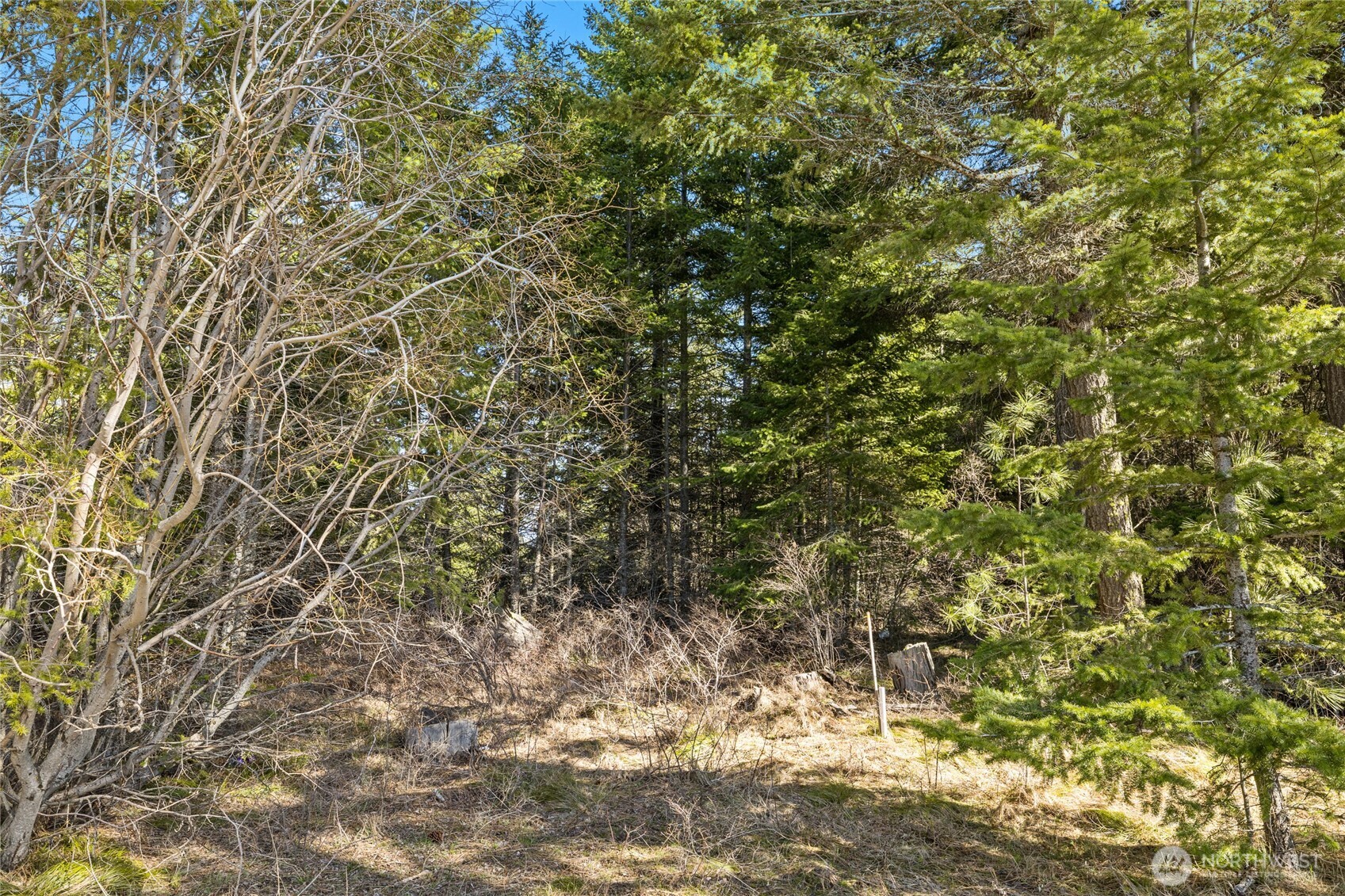 78 Forest Ridge (lot 78) Drive Property Photo 2