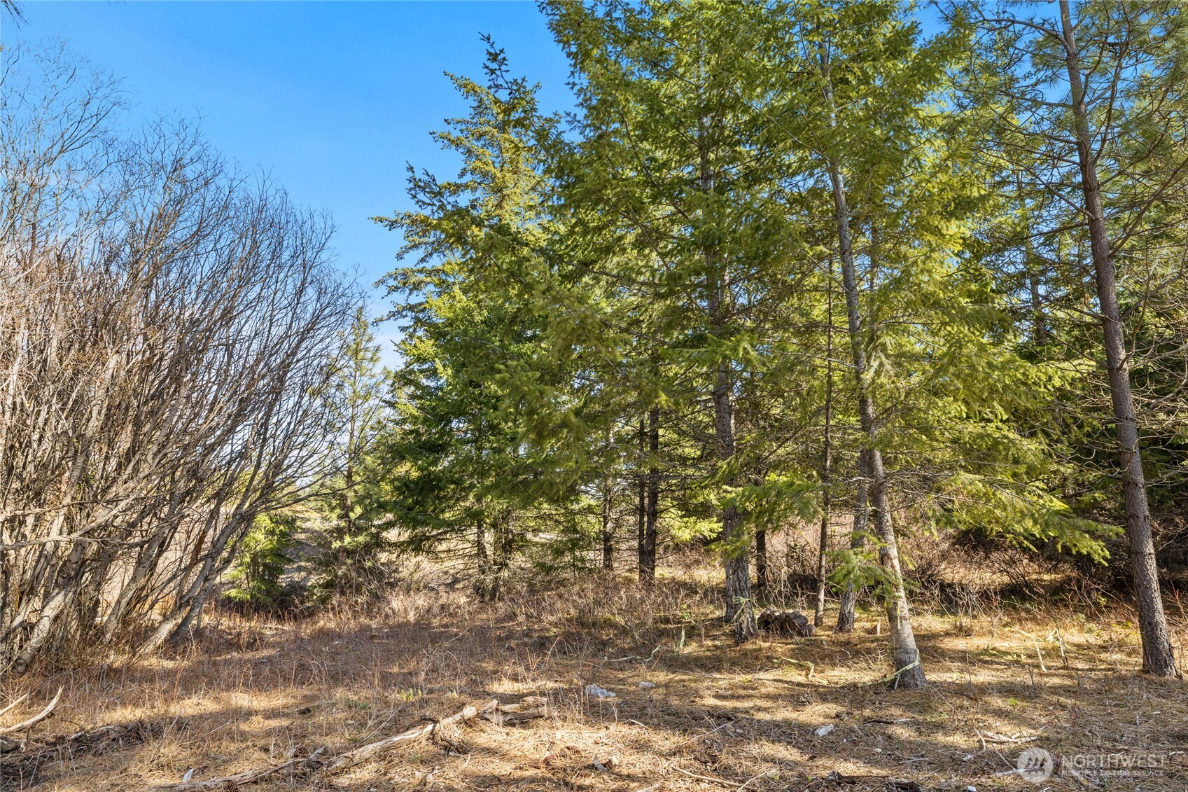 78 Forest Ridge (lot 78) Drive Property Photo 3