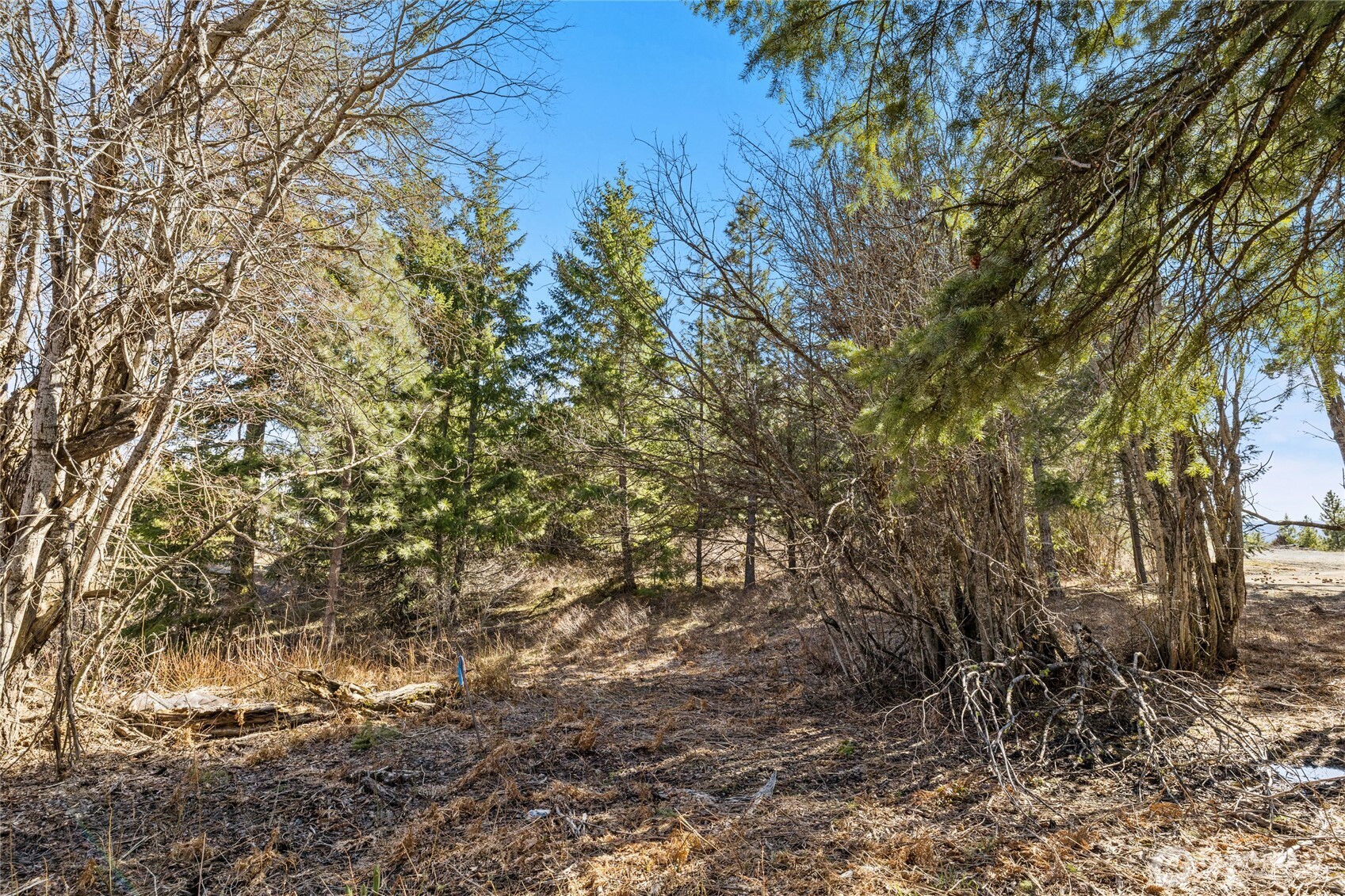 78 Forest Ridge (lot 78) Drive Property Photo 4