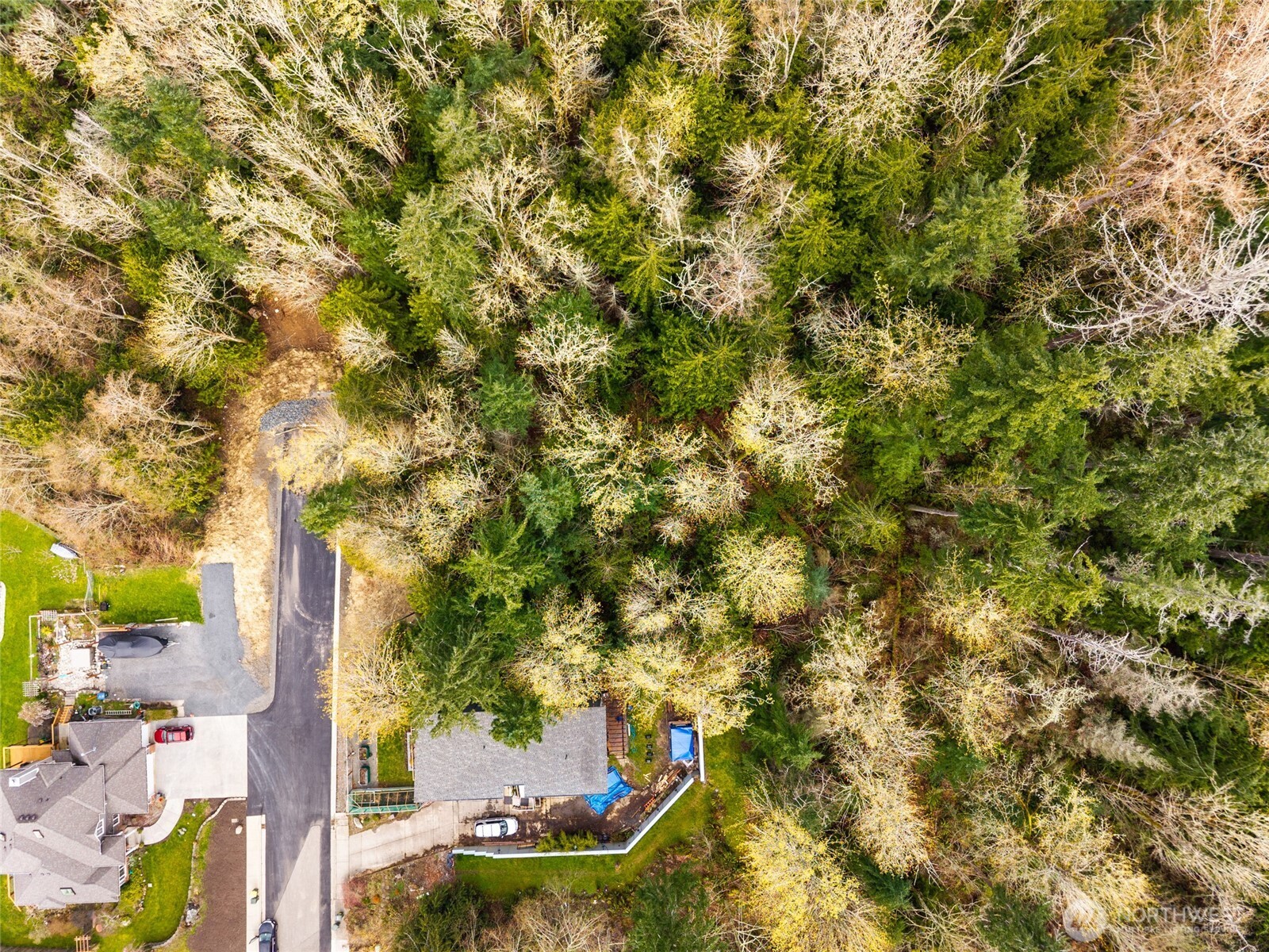 813 41st Property Photo 6