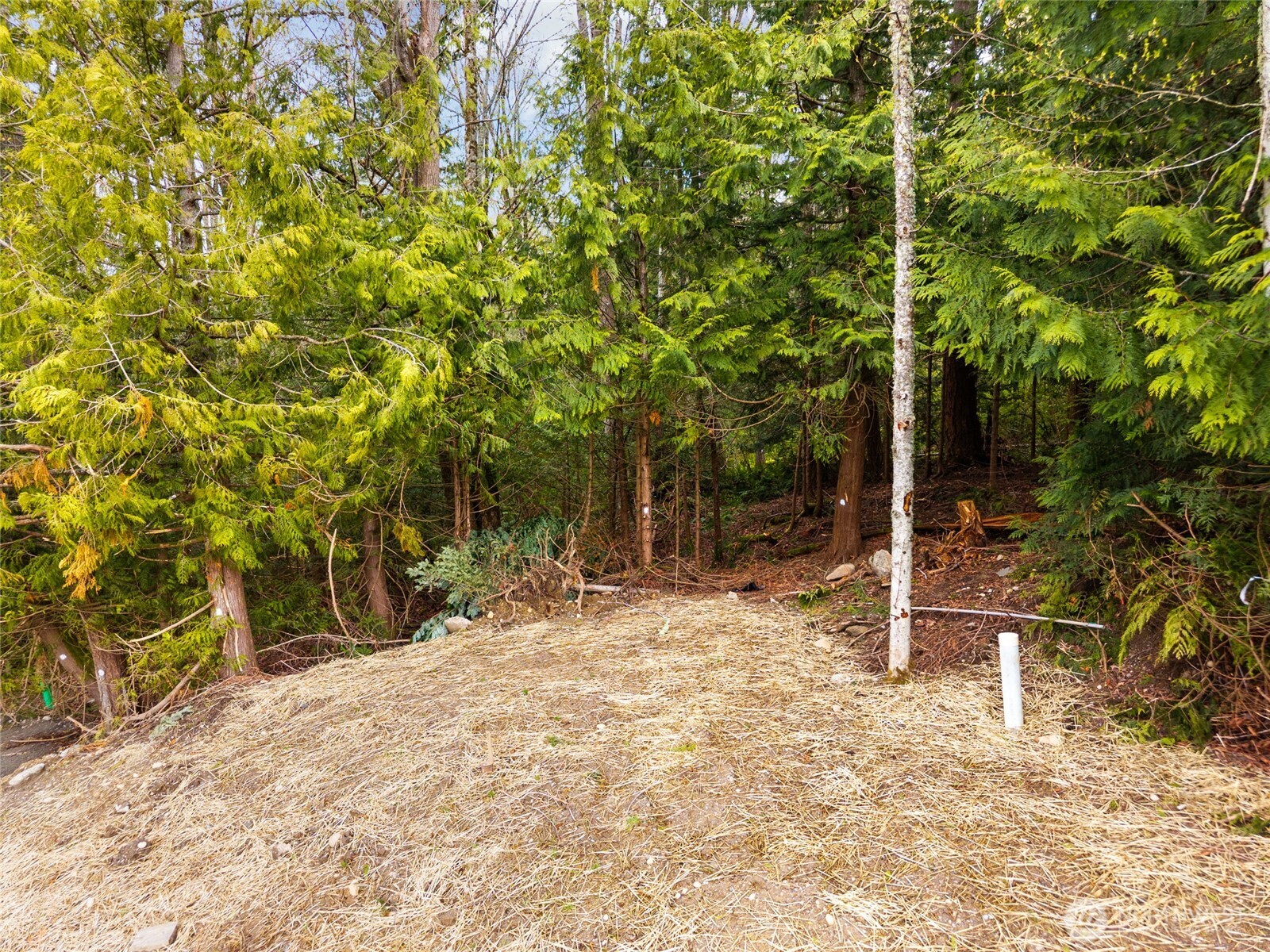 813 41st Property Photo 12