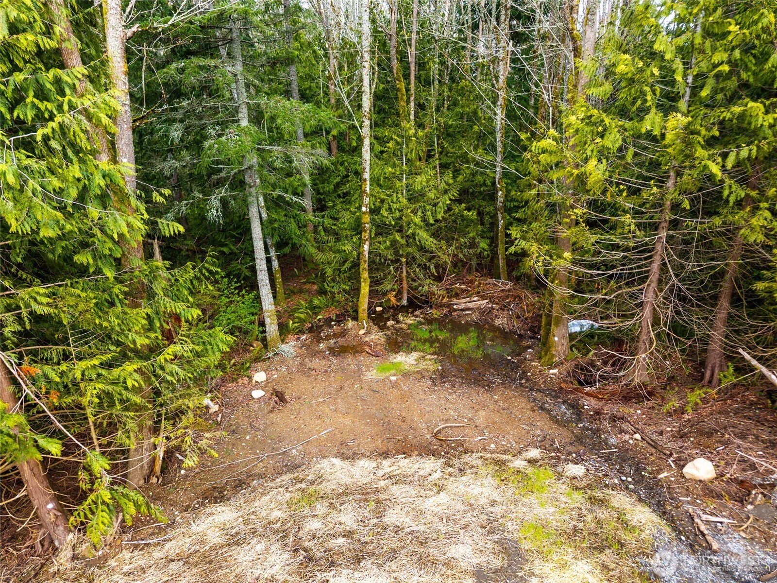 813 41st Property Photo 14