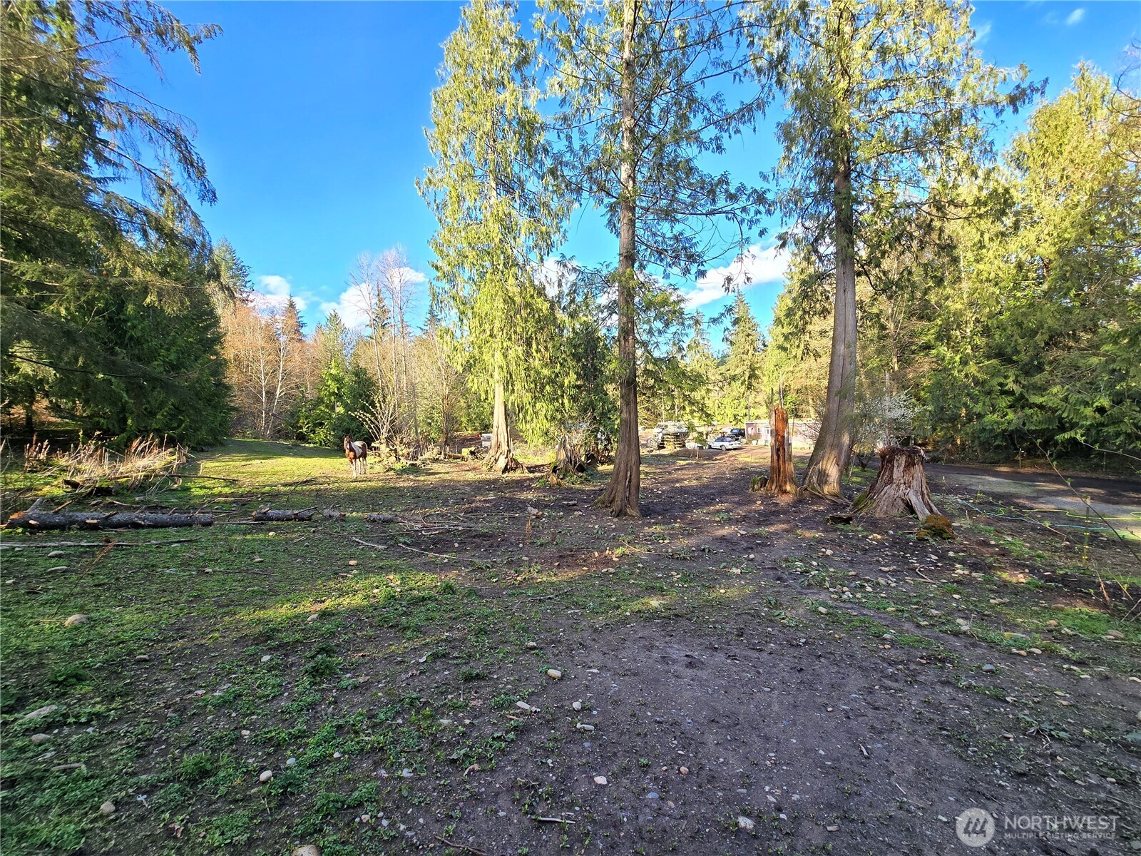 16827 Ne 24th Place Property Photo 15