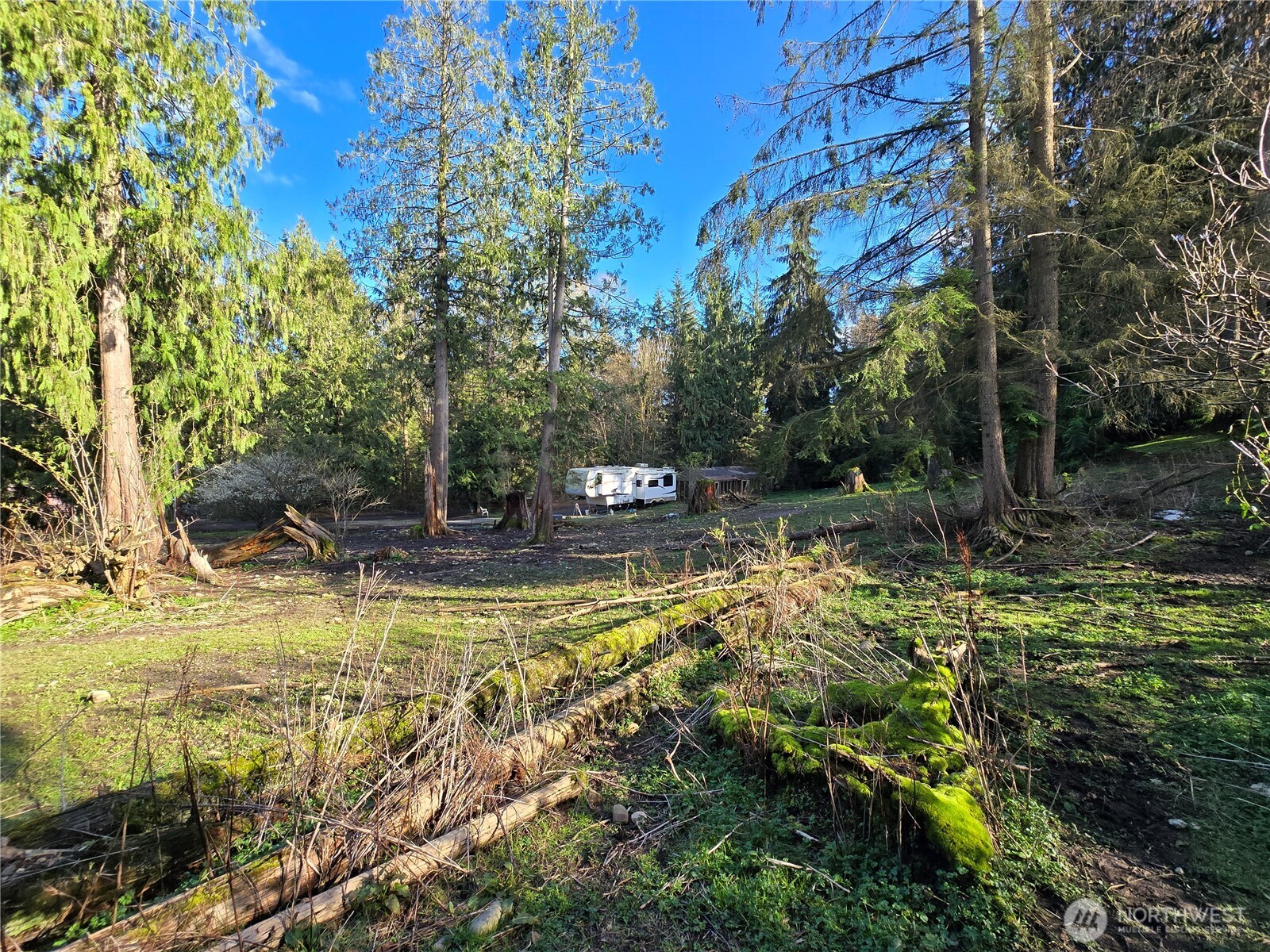 16827 Ne 24th Place Property Photo 18