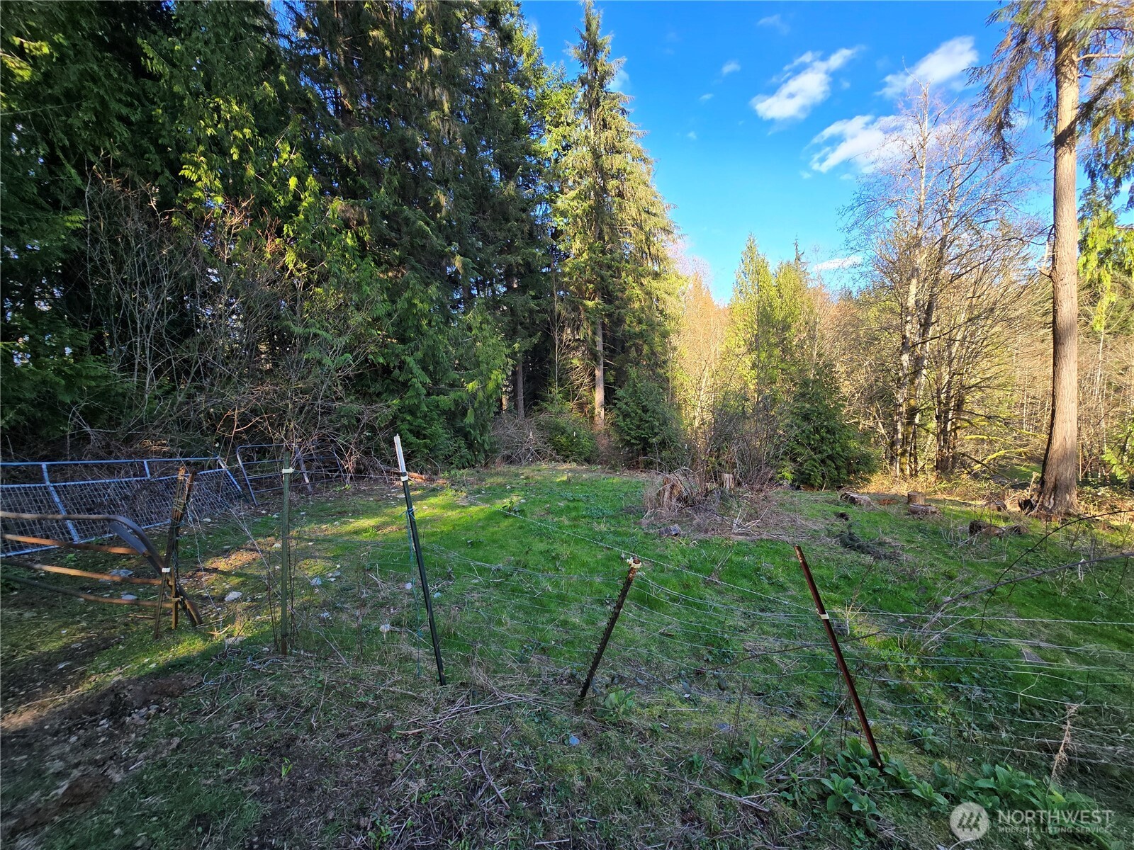 16827 Ne 24th Place Property Photo 21