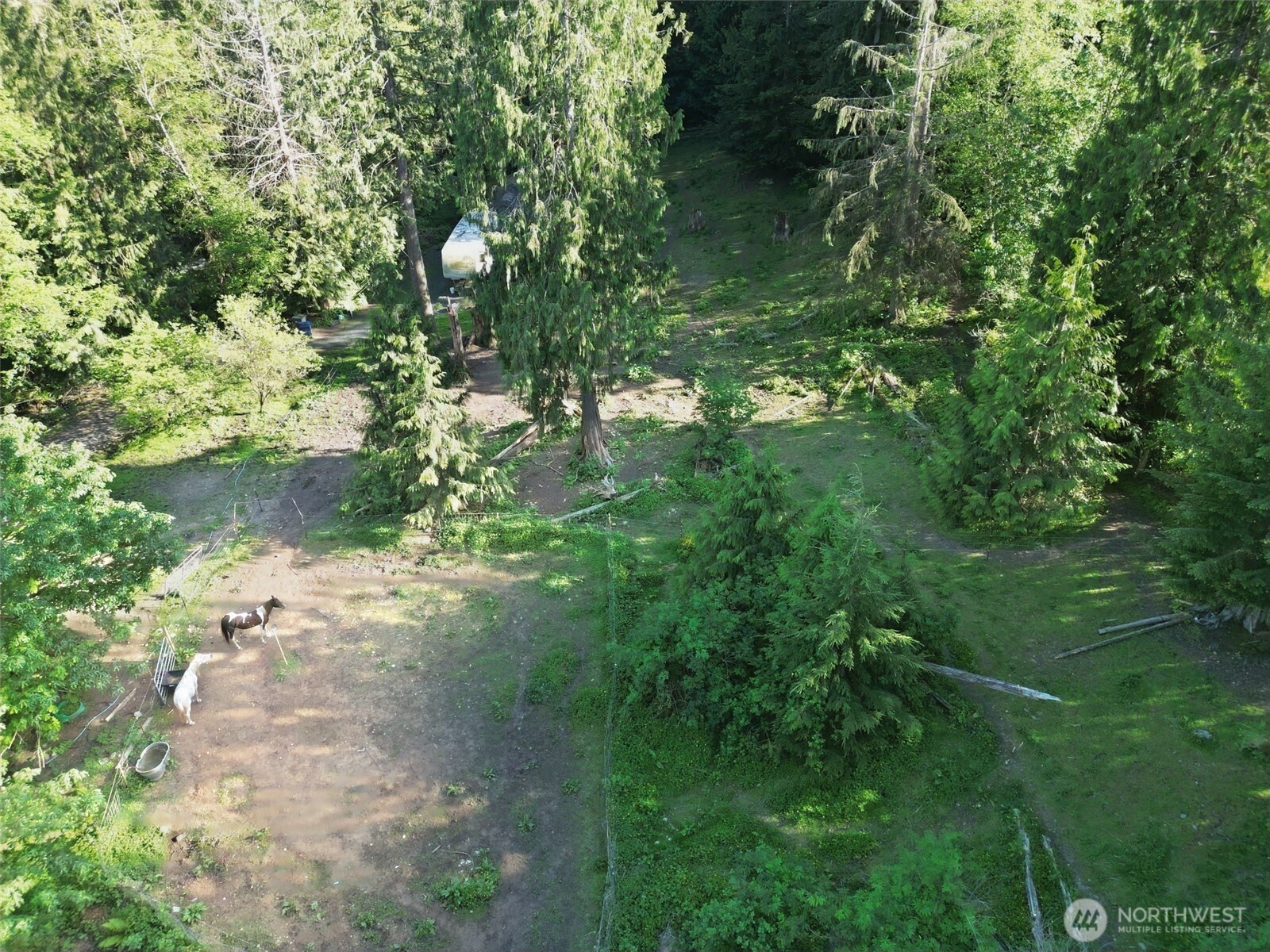 16827 Ne 24th Place Property Photo 37