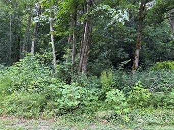 72 Saratoga Drive Property Photo 1