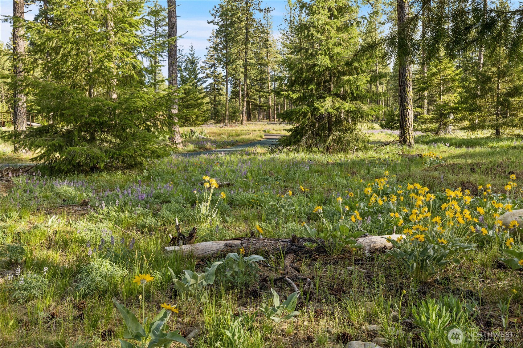 107 Wanawish Loop Property Photo 9