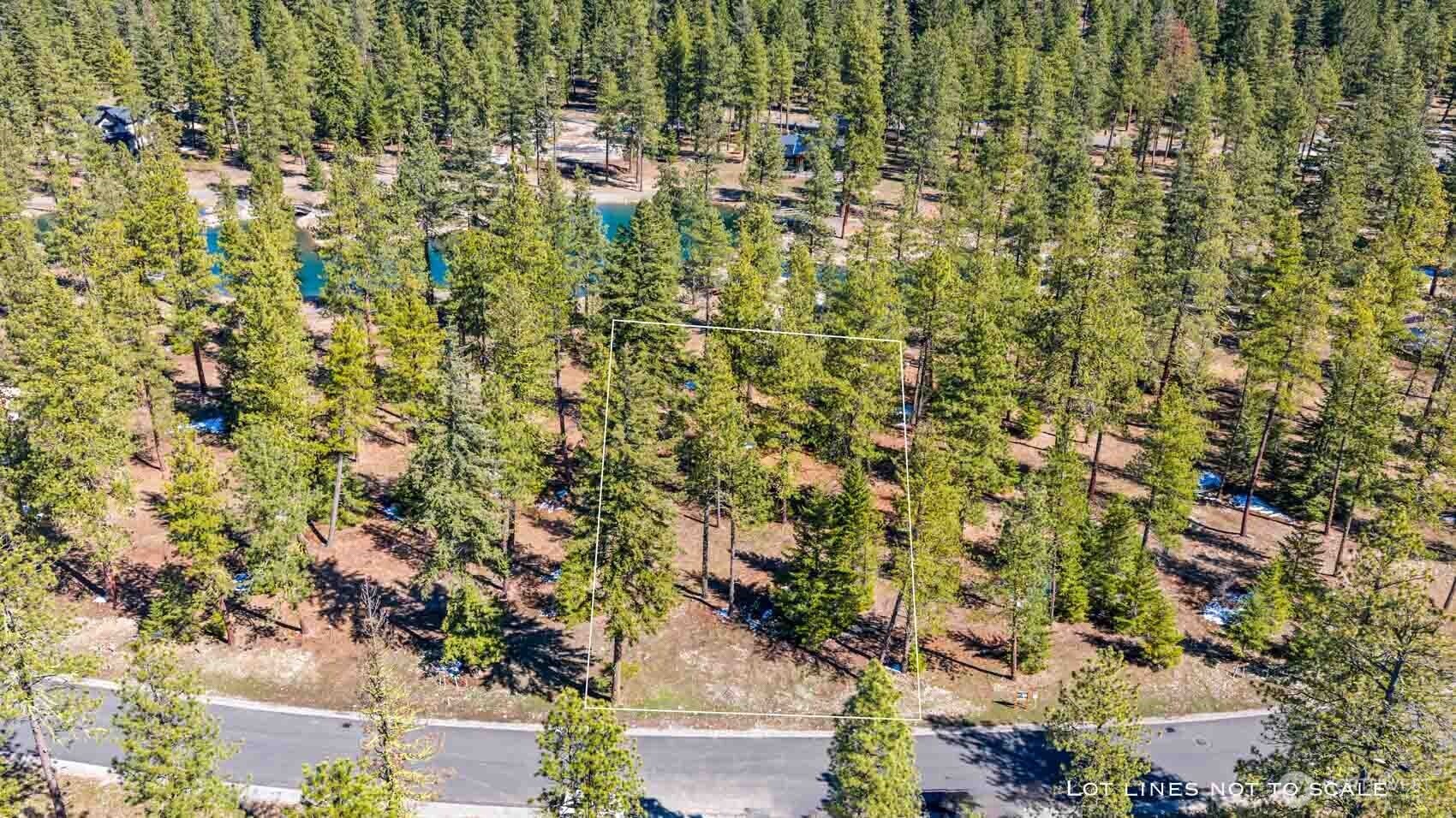 107 Wanawish Loop Property Photo 16