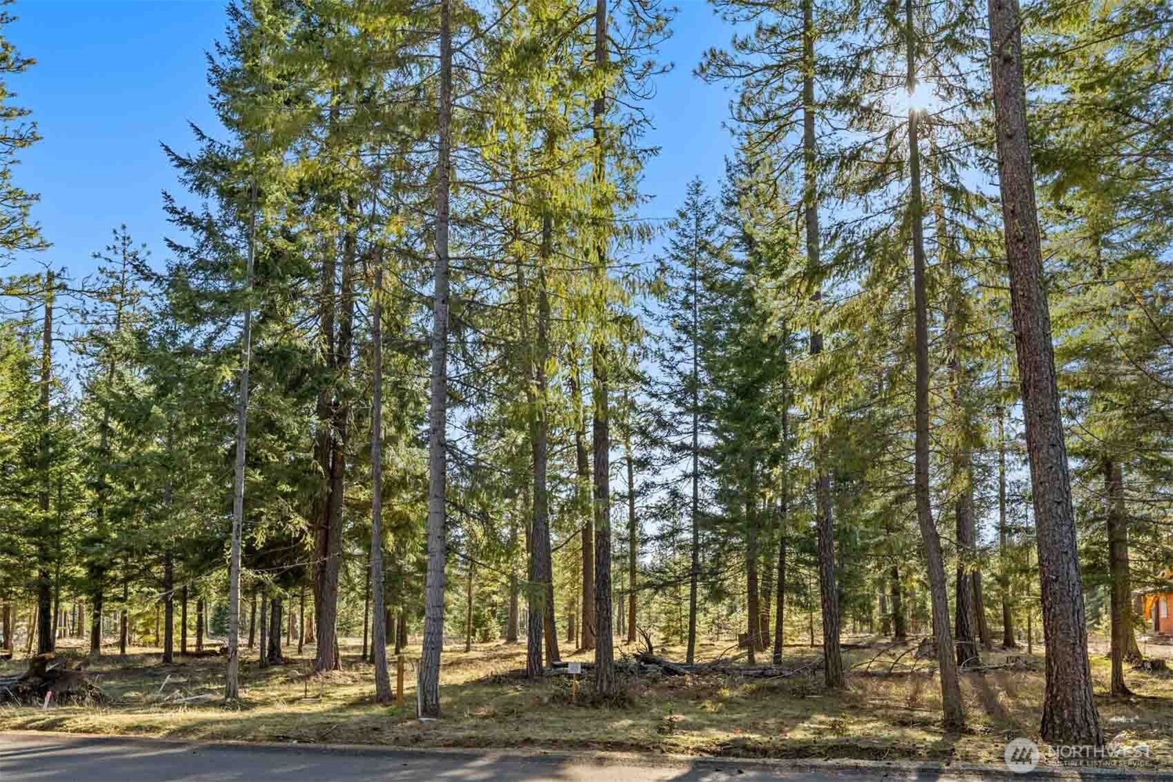 80 Wanawish Loop Property Photo 25