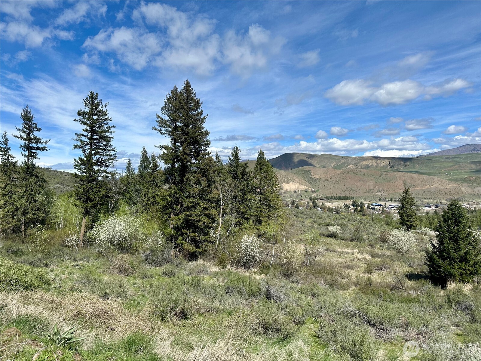 2 X Alder Road Property Photo 7
