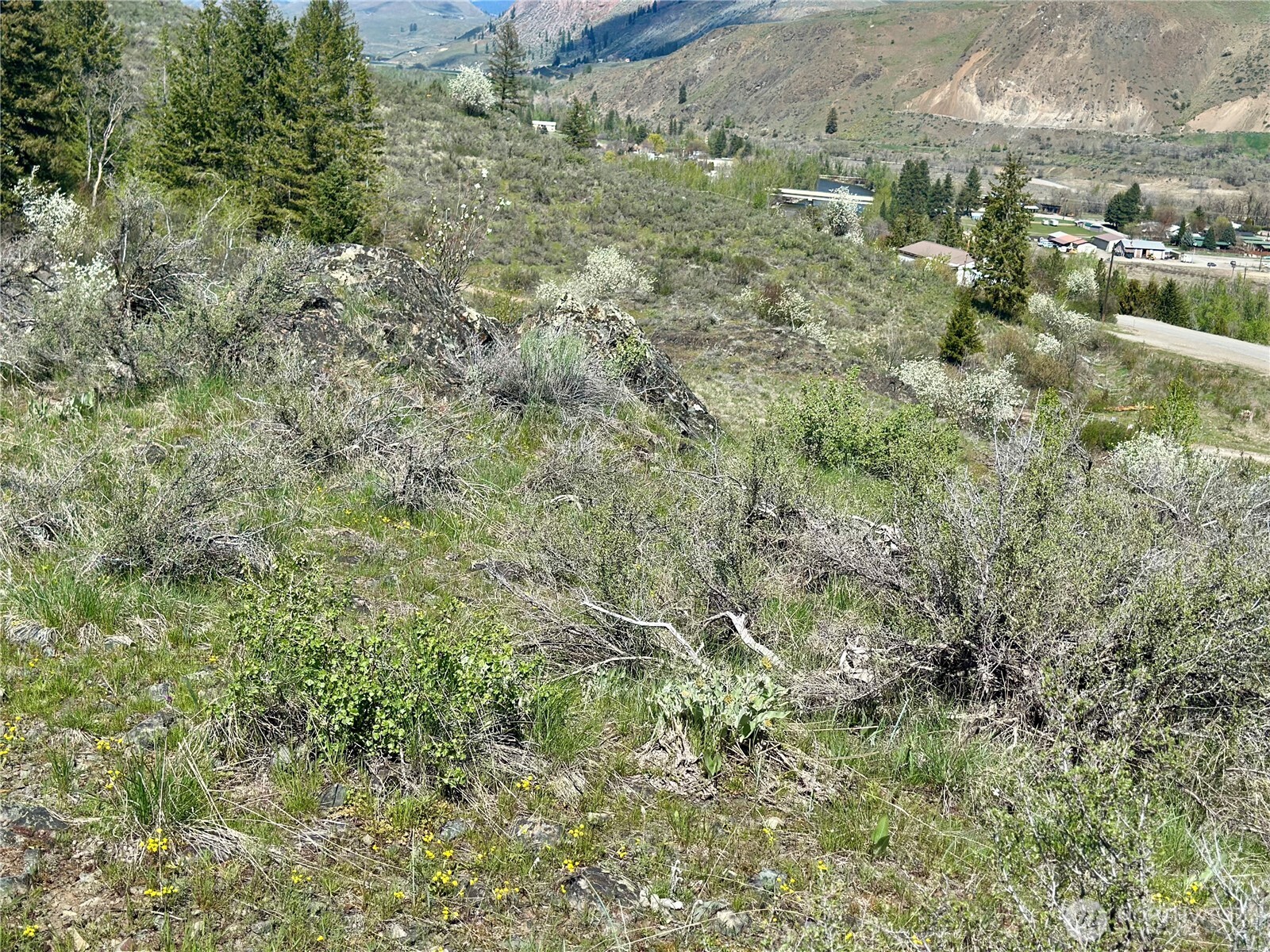 2 X Alder Road Property Photo 25