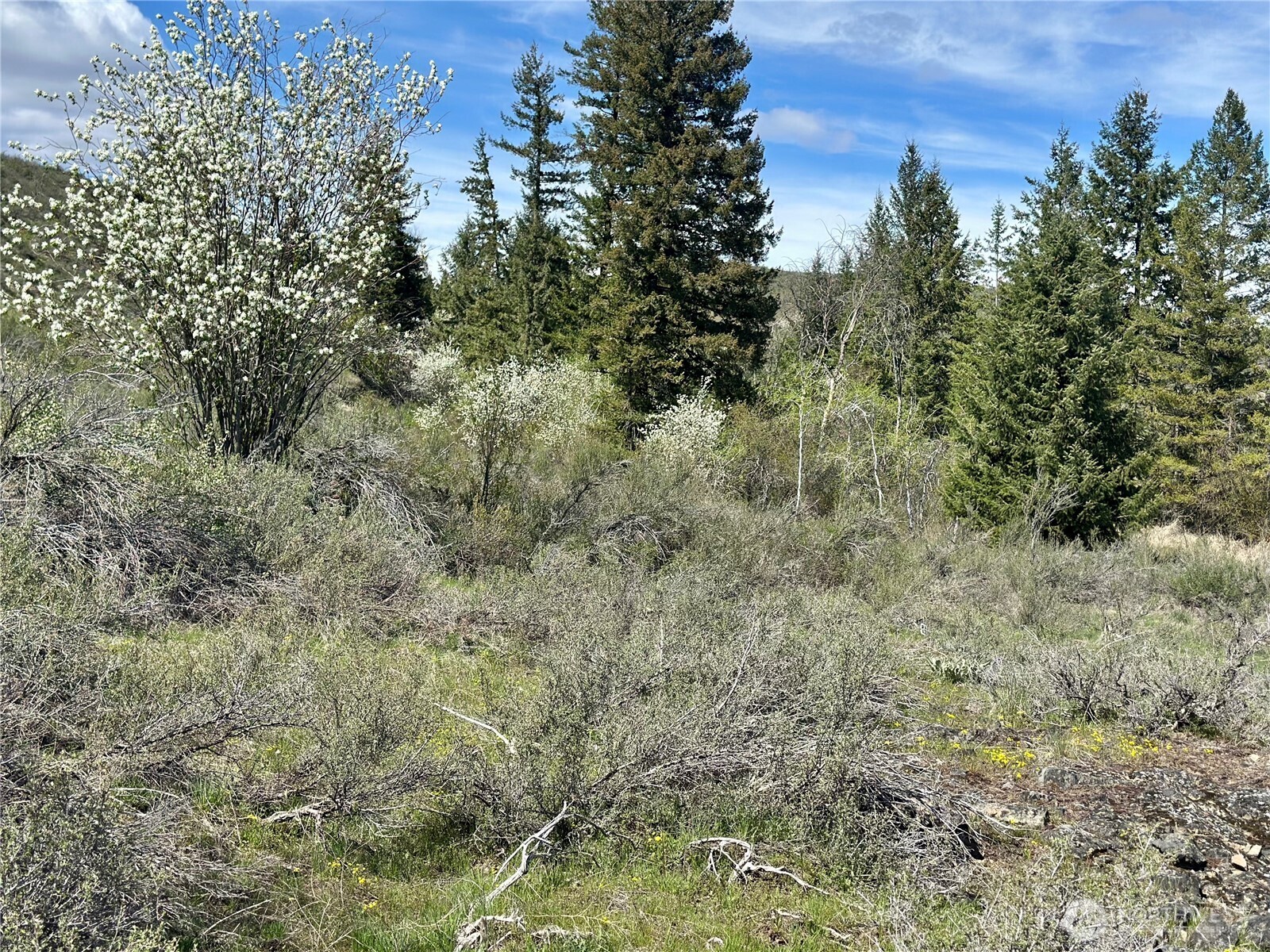 2 X Alder Road Property Photo 26