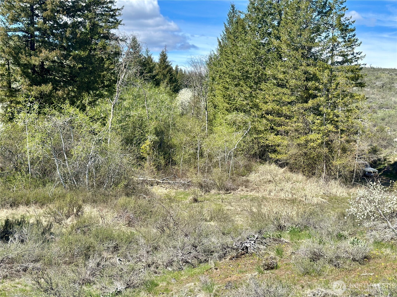 2 X Alder Road Property Photo 28