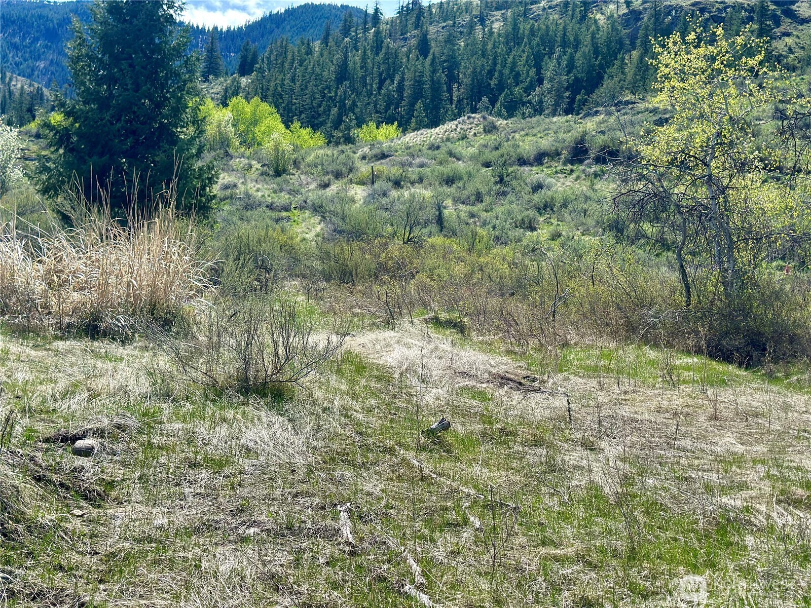 2 X Alder Road Property Photo 35