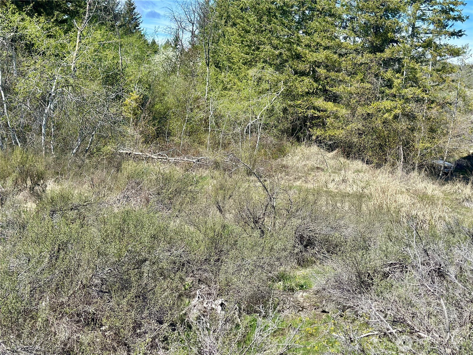 2 X Alder Road Property Photo 36