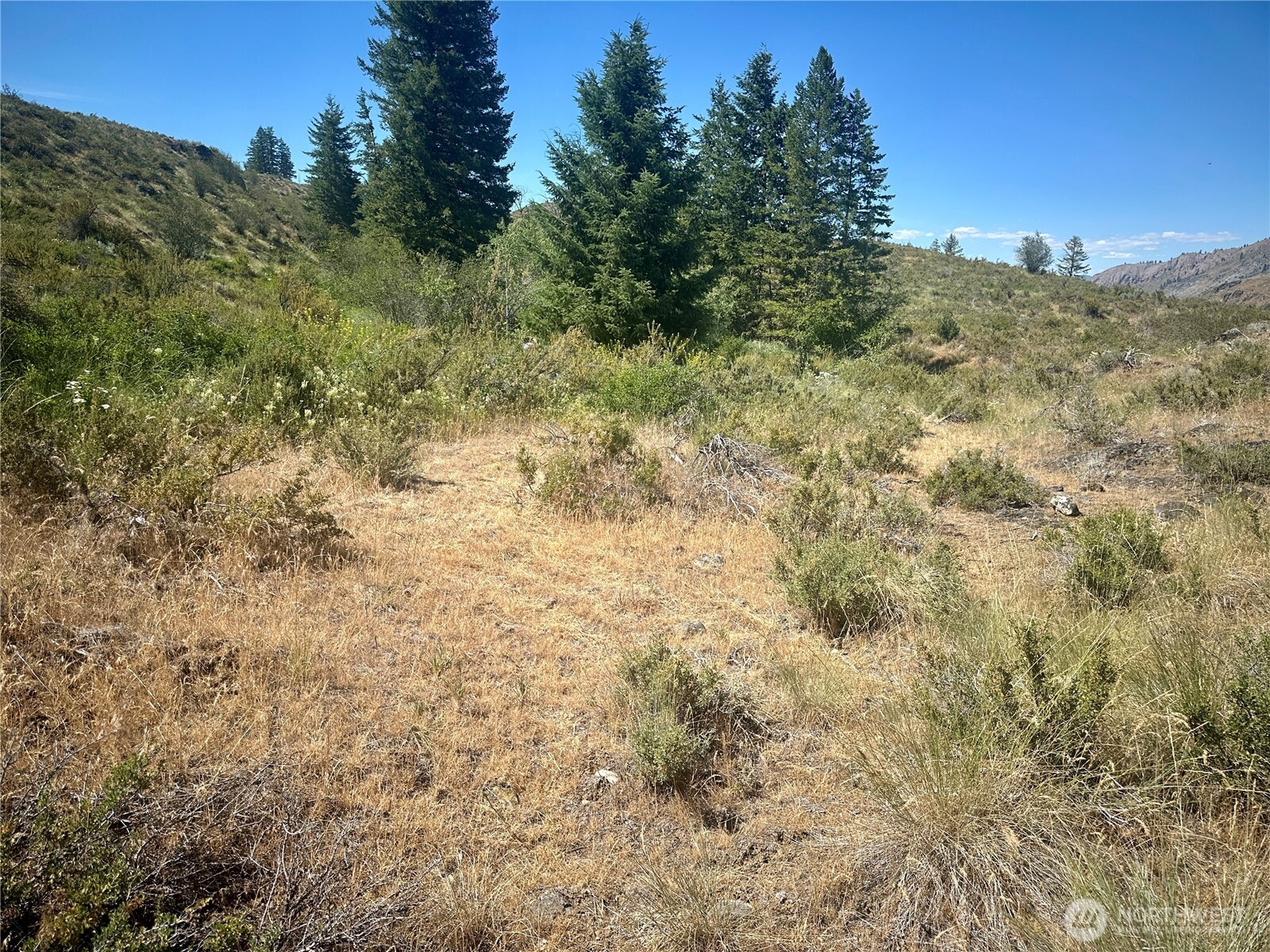 2 X Alder Road Property Photo 38
