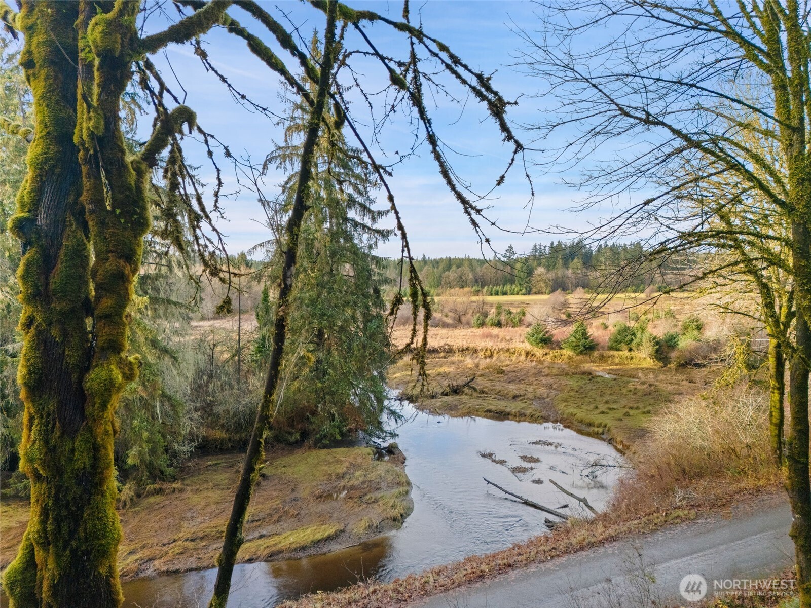 0 Tr 2&3 E Agate Road Property Photo 6