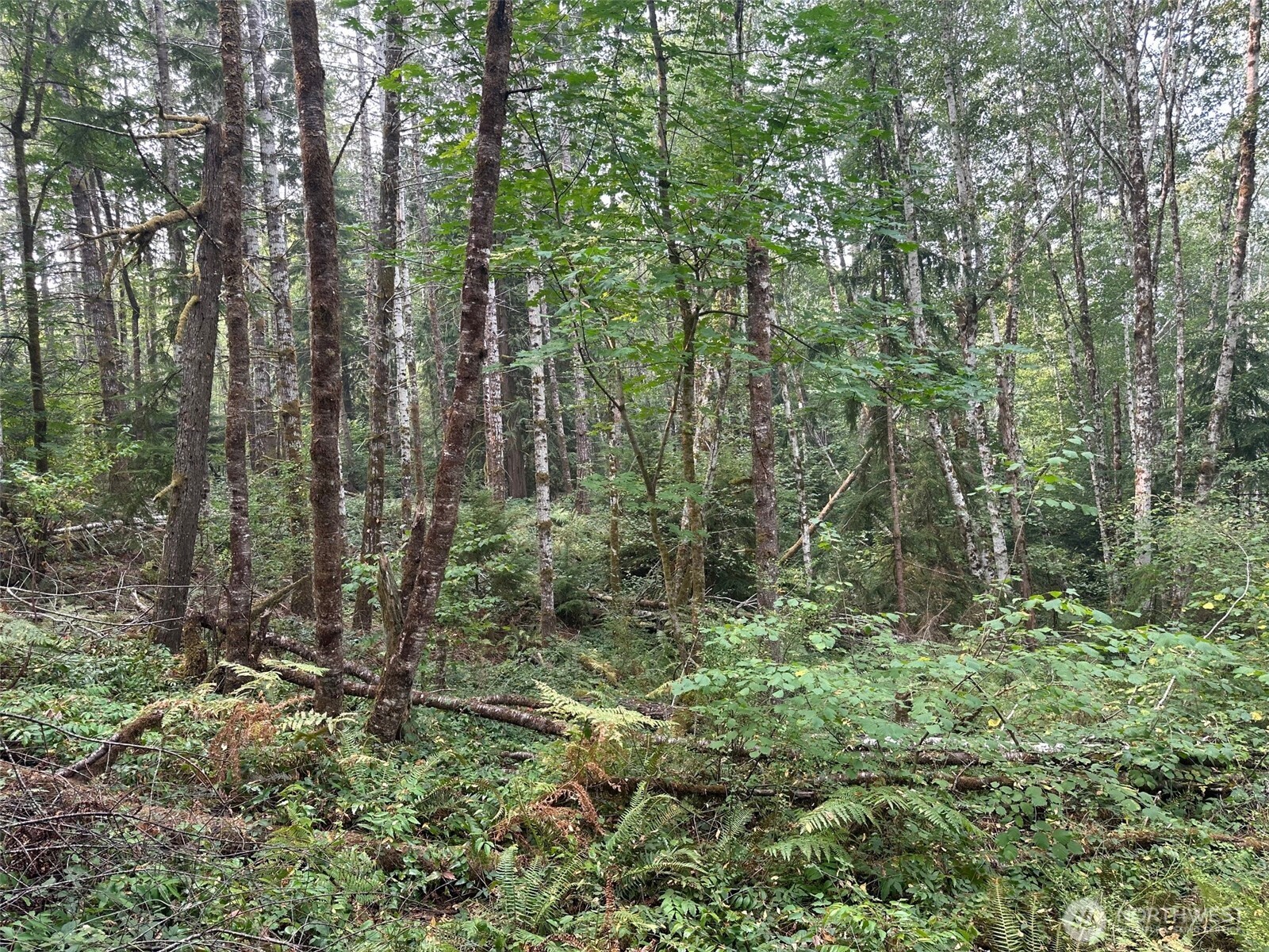 0 Tr 2&3 E Agate Road Property Photo 10