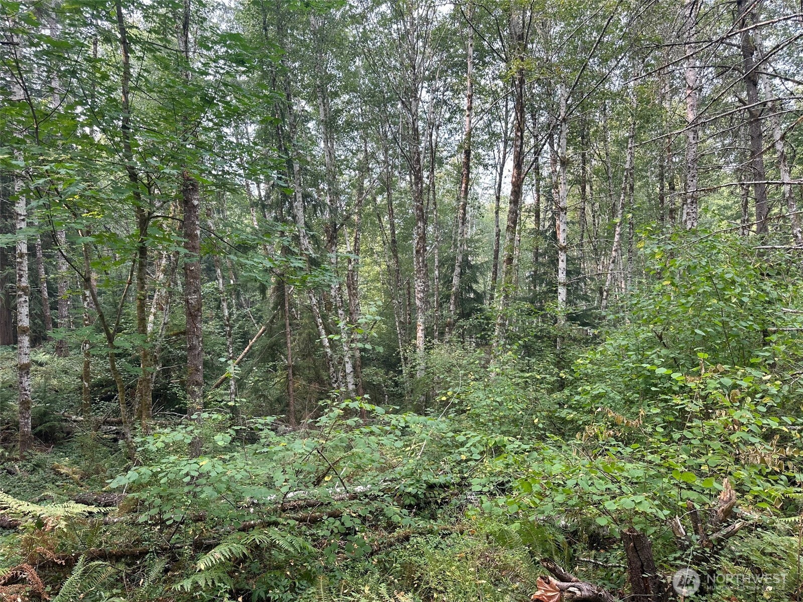 0 Tr 2&3 E Agate Road Property Photo 11