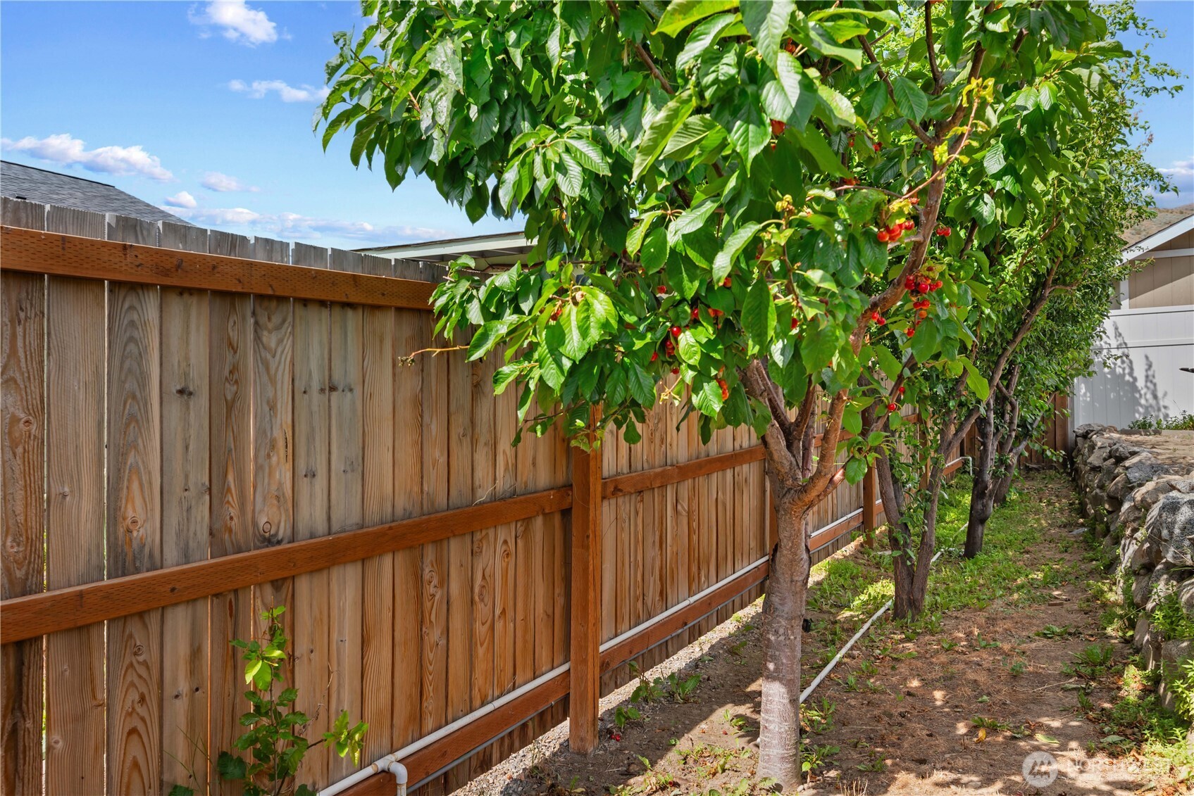 1010 Crest Loop Property Photo 16