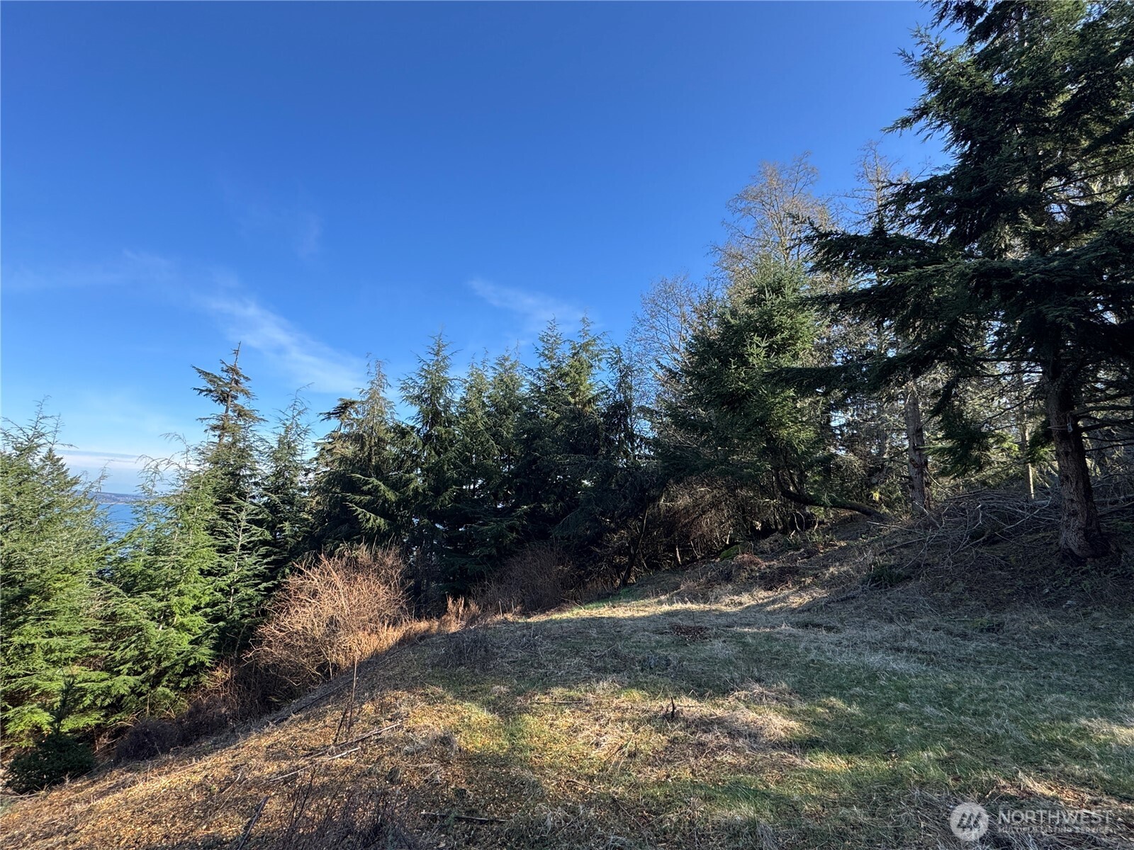 36 Coastline Drive Property Photo 31