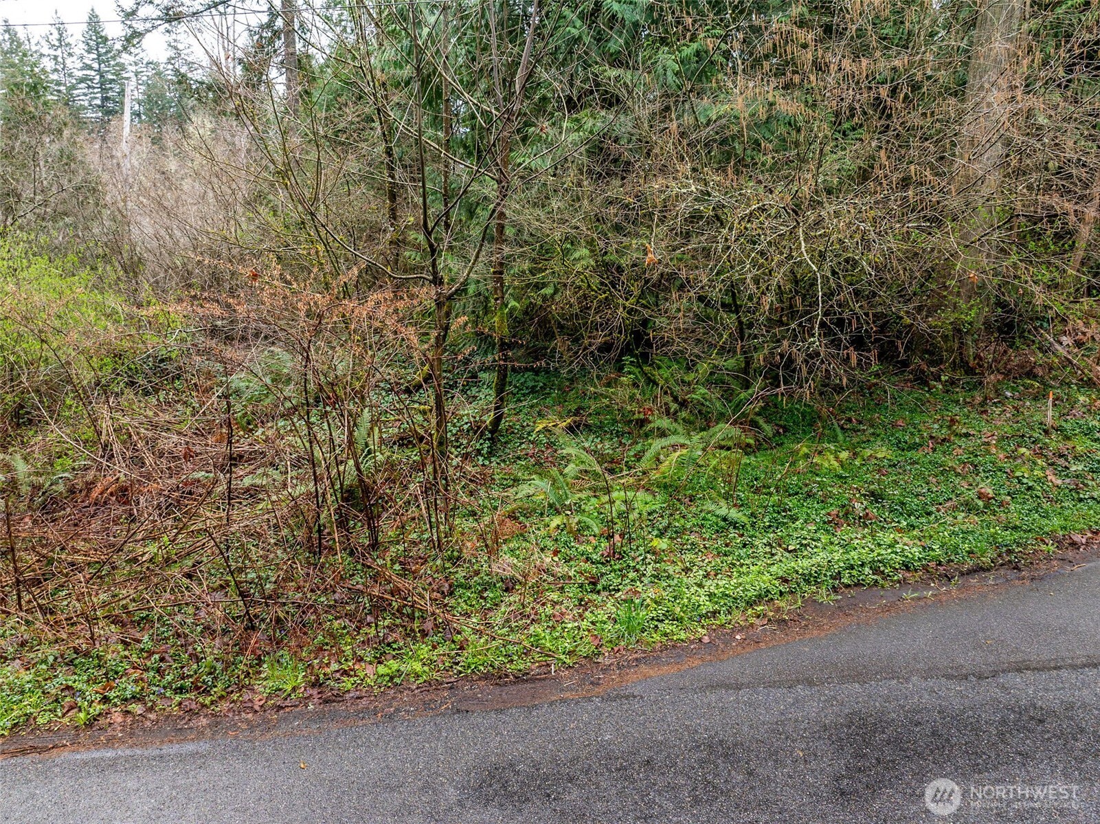 32617 Benbow Drive Property Photo 4