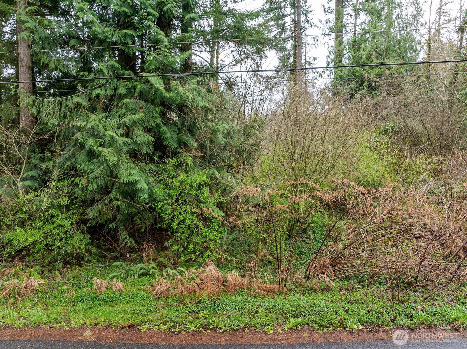 32617 Benbow Drive Property Photo 5