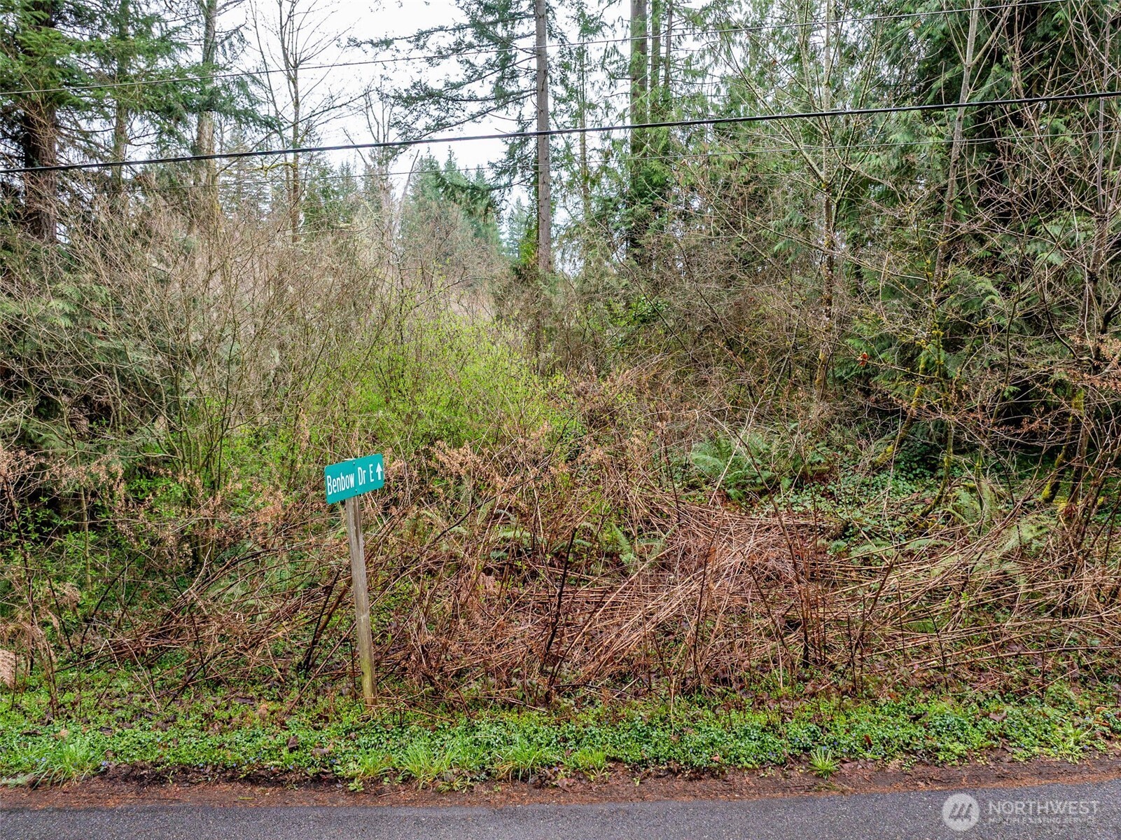 32617 Benbow Drive Property Photo 6