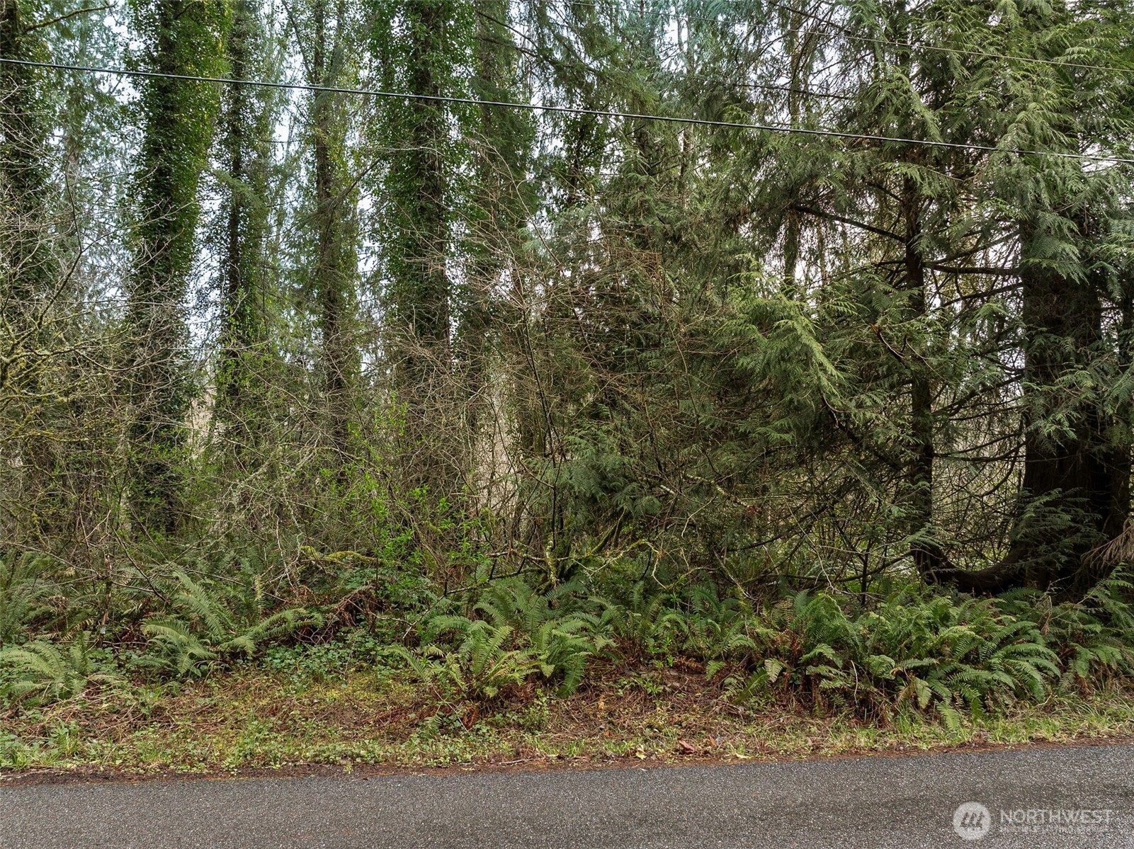 32621 Benbow Drive Property Photo 4