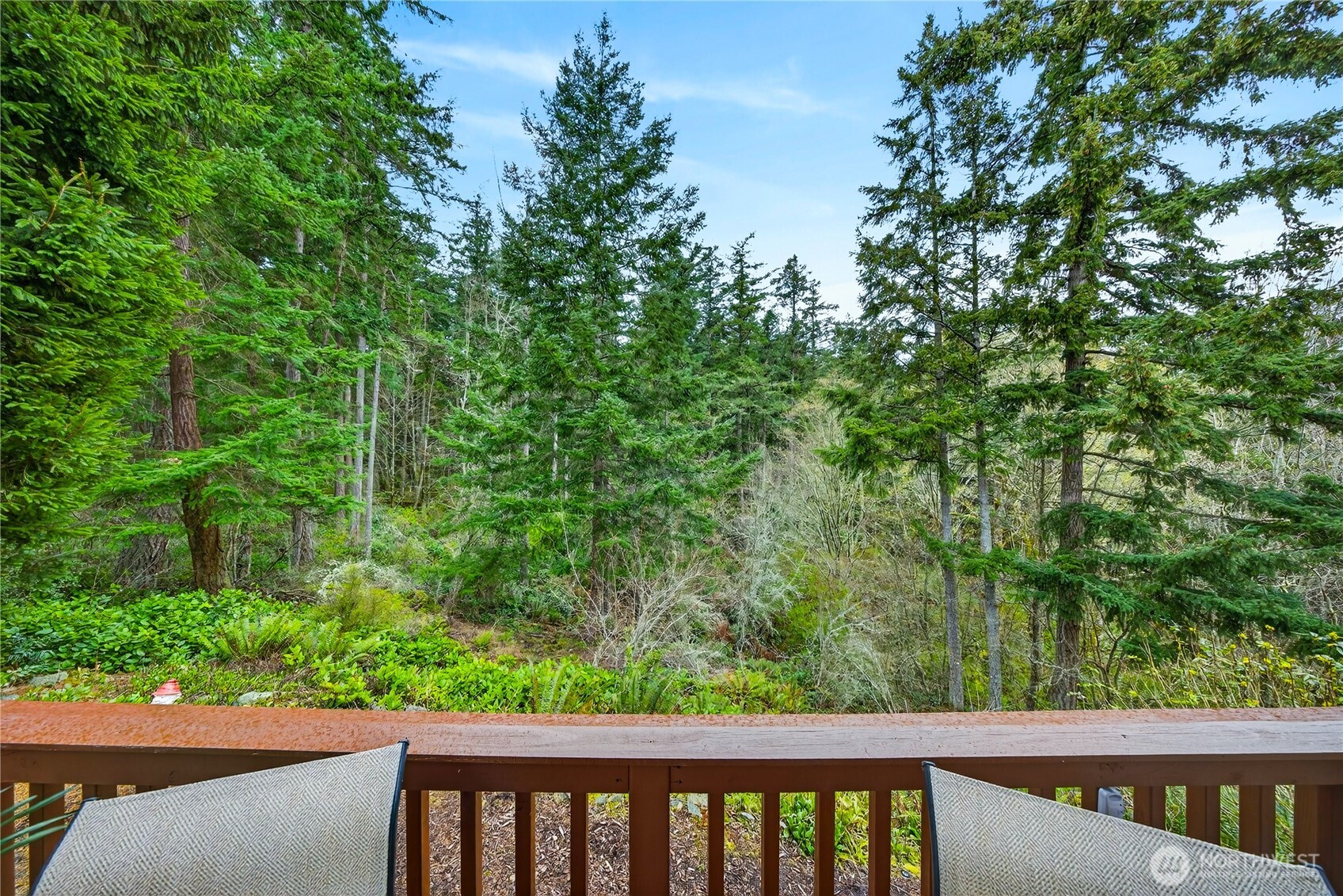 2016 Cascade Court Property Photo 37
