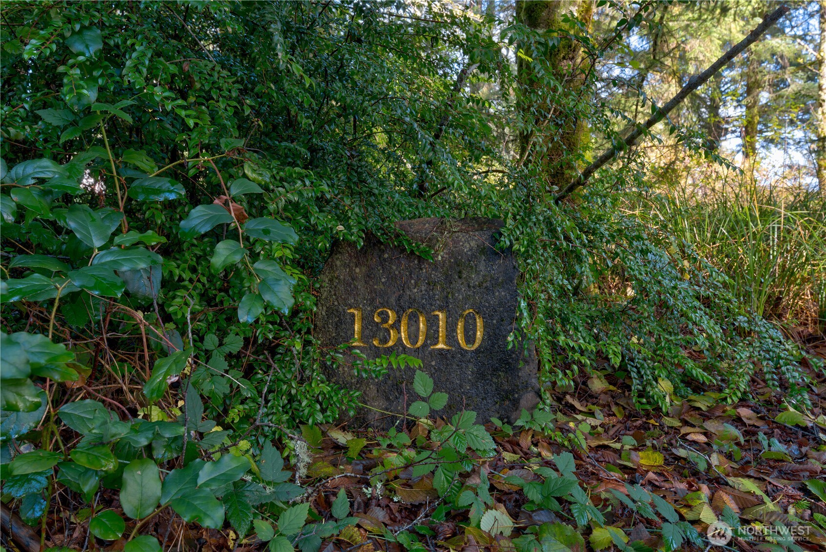 13010 Teal Lane Property Photo 4