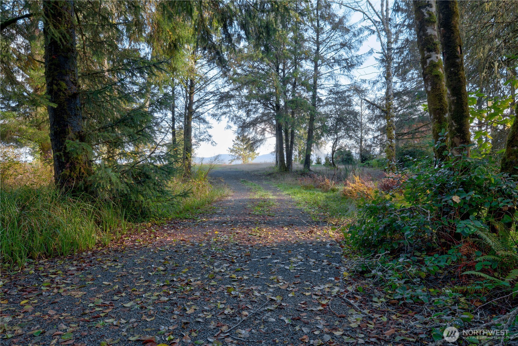 13010 Teal Lane Property Photo 5