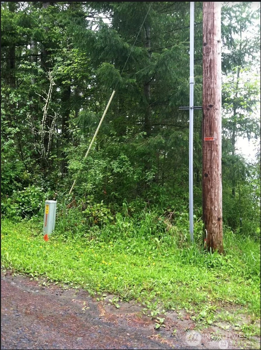 50113 146th Avenue Property Photo 2