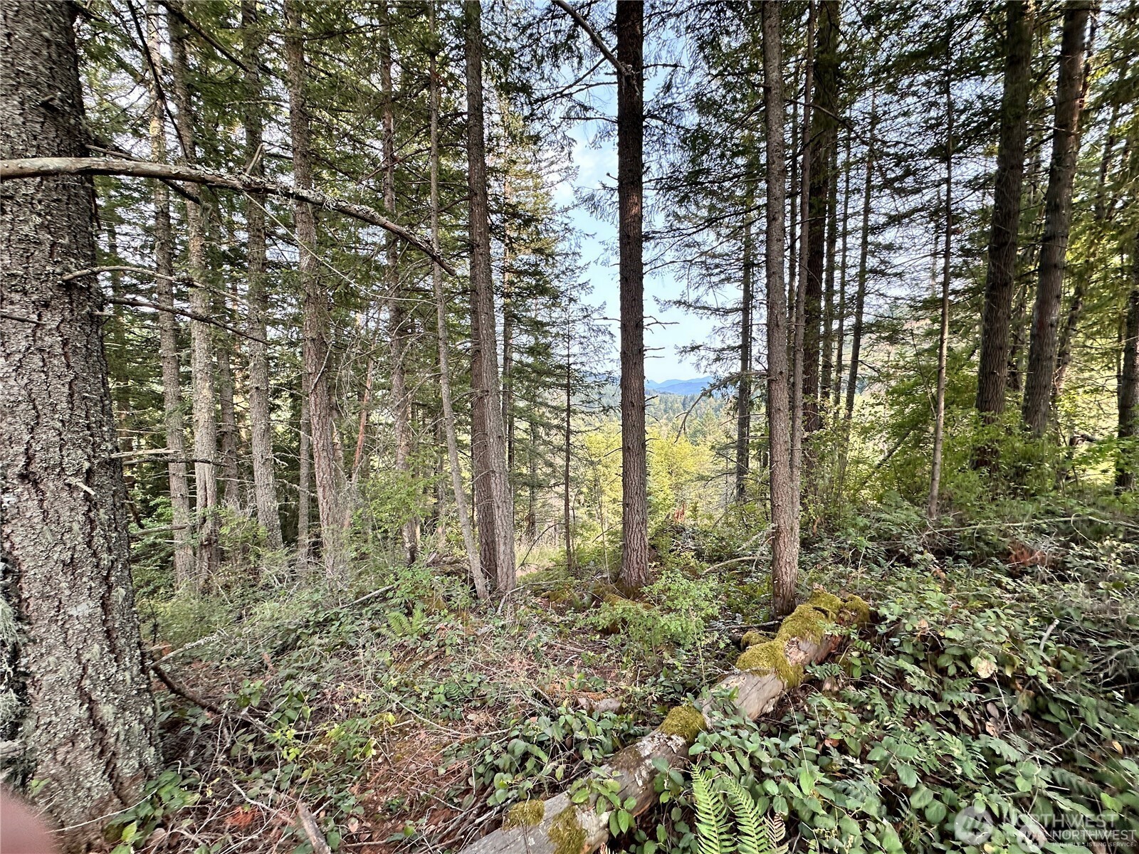 50113 146th Avenue Property Photo 6