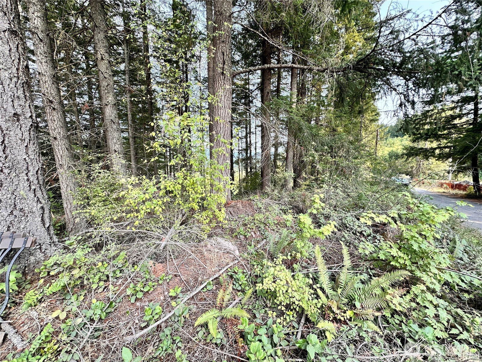 50113 146th Avenue Property Photo 8