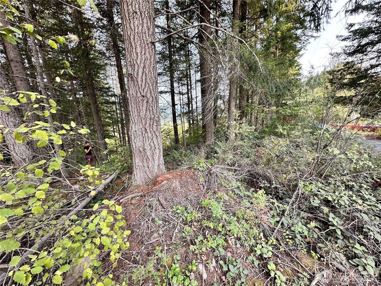 50113 146th Avenue Property Photo 9