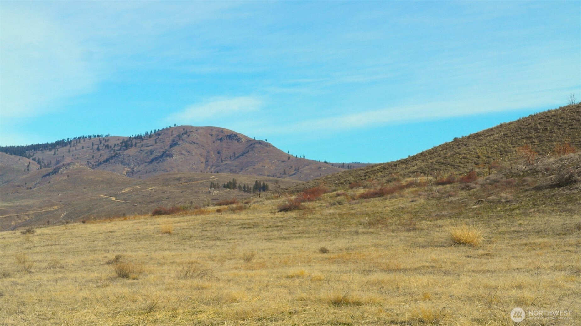 4 Brook Trout Lane Property Photo 10