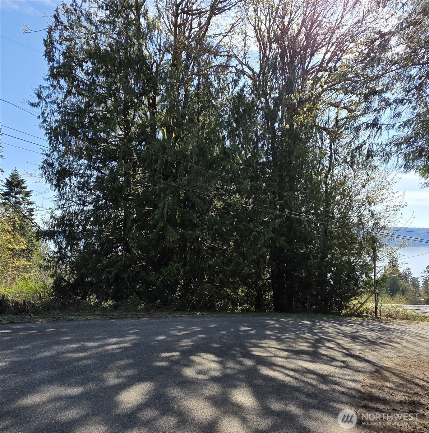0 Cedar Place Property Photo 1