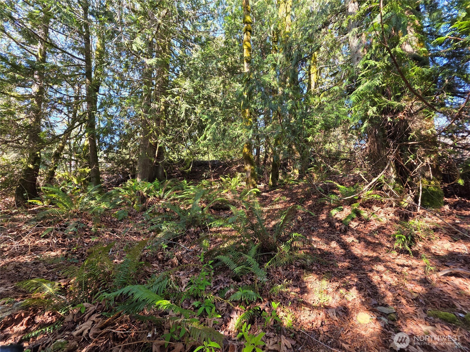 0 Cedar Place Property Photo 5